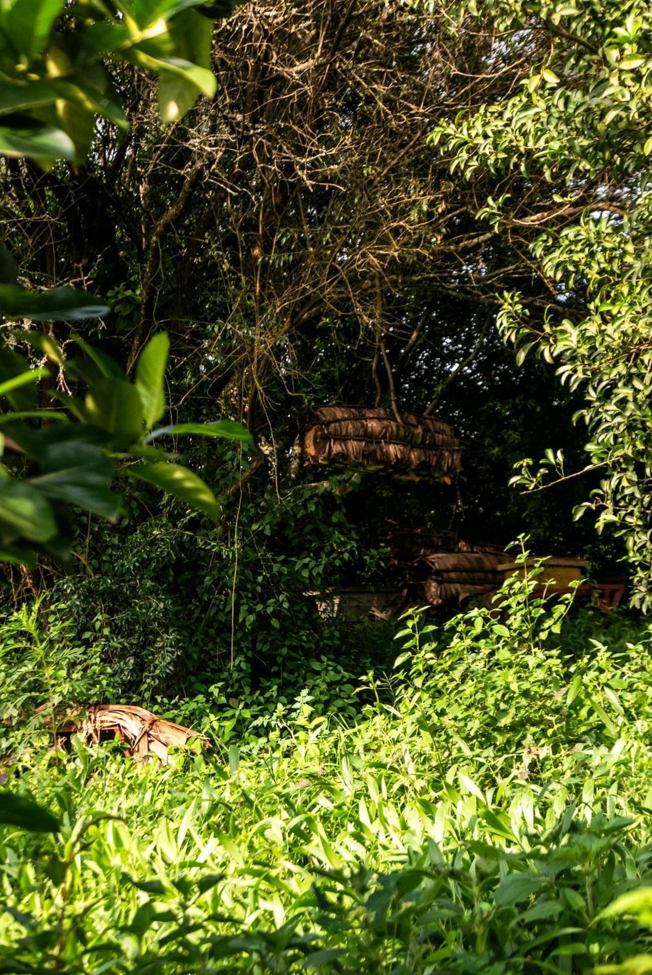 Akagera Transit Lodge Экстерьер фото